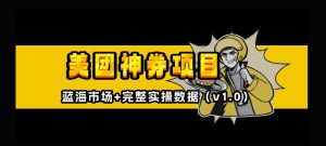 美团神券神会员_入门级教程，外卖券膨胀推广项目【全网首发，全新蓝海】-第一资源网