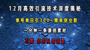 最新高效引流技术深度揭秘 ，单号单日引300+精准创业粉，一分钟一条原创素材，引爆你的私域流量-第一资源网