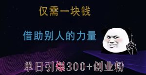 仅需一块钱，借助别人的力量，单日引爆300+创业粉、兼职粉【揭秘】-第一资源网
