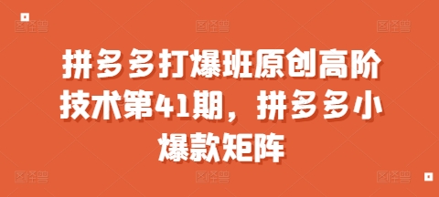 拼多多打爆班原创高阶技术第41期，拼多多小爆款矩阵-第一资源网