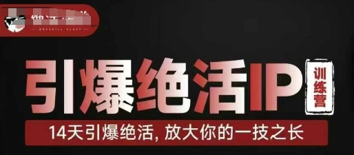 引爆绝活IP训练营，14天引爆绝活，放大你的一技之长-第一资源网