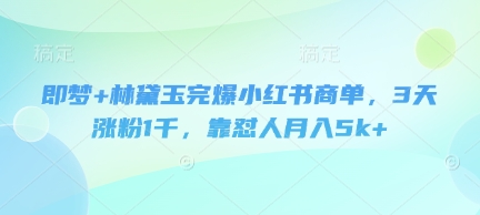 即梦+林黛玉完爆小红书商单，3天涨粉1千，靠怼人月入5k+-第一资源网