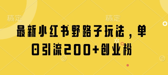 最新小红书野路子玩法，单日引流200+创业粉-第一资源网
