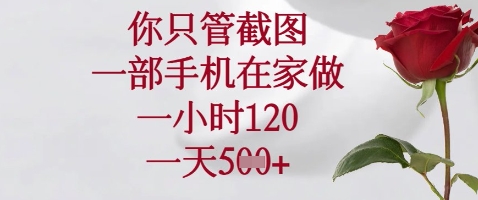 你只管截图，一部手机在家做，苹果安卓都可以，一小时120，一天5张+【揭秘】-第一资源网