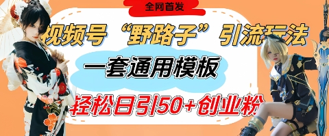 视频号“野路子”玩法，评论区疯狂截流，一套模板单日单号引流50+创业粉-第一资源网