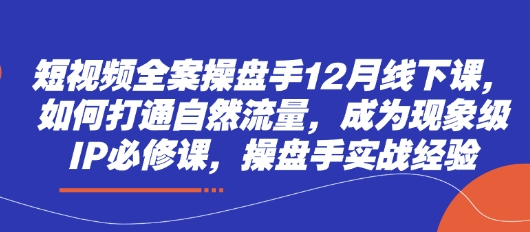 短视频全案操盘手12月线下课，如何打通自然流量，成为现象级IP必修课，操盘手实战经验-第一资源网