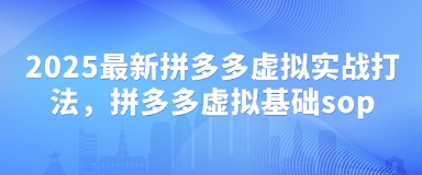 2025最新拼多多虚拟实战打法，拼多多虚拟基础sop-第一资源网