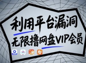 利用平台漏洞，无限撸网盘VIP会员，用户亲测有效!【漏洞原理+操作演示】-第一资源网