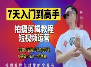 7天入门到高手，短视频剪辑运营高手课，定位 运营 引|流 变现，0基础小白一学就会-第一资源网