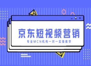 京东短视频营销项目，专业MCN机构一对一实操教学-第一资源网