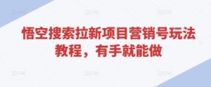 悟空搜索拉新项目营销号玩法教程，有手就能做-第一资源网