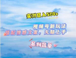 微信视频号最新玩法，表情包搭配情感文案，2分钟一条原创作品，简单好上手，轻松日入几张-第一资源网