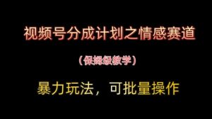 视频号分成计划之情感赛道暴力玩法，可批量操作，保姆级教学-第一资源网