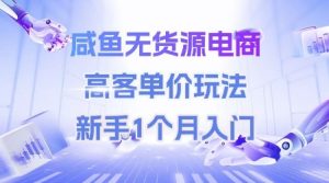 咸鱼无货源电商,高客单价玩法,新手1个月入门-第一资源网
