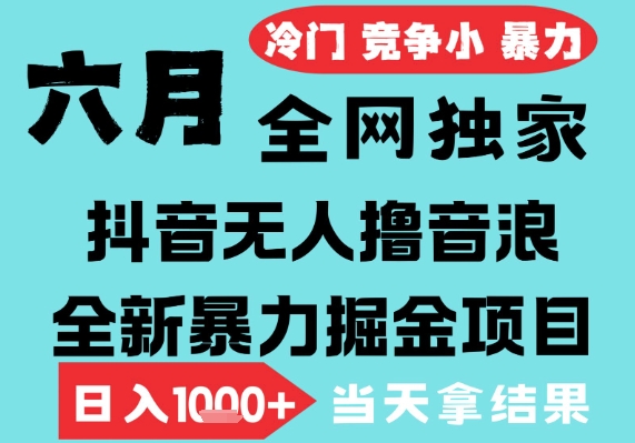 2025年6月高爆抖音无人直播最新撸音浪掘金项目，无脑日入1k+，低门槛小白可做，可矩阵放大【揭秘】-第一资源网