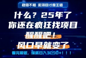 什么?25年你还在疯狂找项目做,醒醒吧,看完这些你全都懂了!【揭秘】-第一资源网