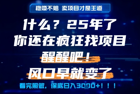 什么？25年你还在疯狂找项目做，醒醒吧，看完这些你全都懂了！【揭秘】-第一资源网