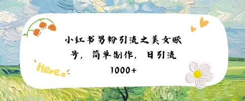 小红书男粉引流项目之美女账号6，简单制作，条条爆款原创，不违规-第一资源网