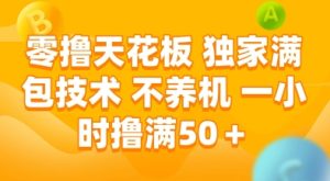 零撸天花板，独家满包技术，不用养机，一小时撸满50+，收益稳定【揭秘】-第一资源网