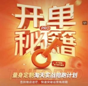 淘宝开单秘籍PRO，量身定制淘天实战陪跑计划，告别做店迷茫、快速突破运营瓶颈期（更新6月）-第一资源网