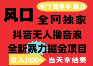 25年6月高爆抖音无人直播最新撸音浪掘金项目，解放双手小白可做，无脑日入1k+，门槛低【揭秘】-第一资源网
