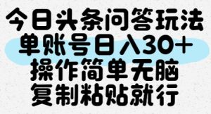 今日头条问答玩法，单账号日入30+，操作简单无脑复制粘贴就行-第一资源网