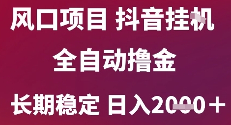 风口项目，六月最新玩法抖音无人挂G，全自动撸金，长期稳定 日入2k+【揭秘】-第一资源网