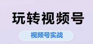玩转视频号,视频号实战系列课-第一资源网