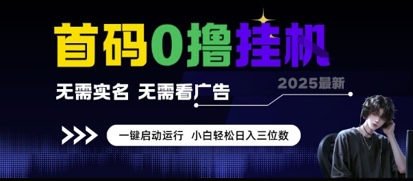 首码0撸挂G项目，无需实名无需看广告 一键启动运行，小白轻松日入三位数【揭秘】-第一资源网