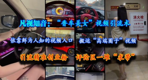 凡视知音：“香车美女”视频引流术，依靠鲜为人知的视频入口，搬运“高端圈子”视频，引流精准创业粉，评论区一堆“求带”-第一资源网