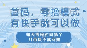 首码零撸项目，有快手就可以做，每天业务时间搞个几张不是问题【揭秘】-第一资源网