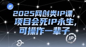 2025网创类IP课,项目会死IP永生,可操作一辈子-第一资源网