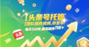 【头条号托管 】团队提供视频,你发布,每天5分钟,最高躺挣1W+【揭秘】-第一资源网