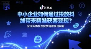 中小企业如何通过投放抖加带来精准获客变现?企业实体抖加投放精准变现秘籍-第一资源网