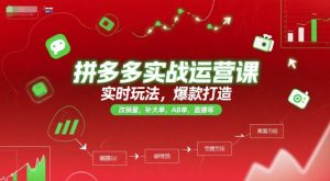 拼多多实战运营课，实时玩法，爆款打造，改销量，补大单，AB单，直播等（更新2025月）-第一资源网