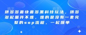 拼多多最快最多黑科技玩法，拼多多起量并不难，难的是没有一套完整的sop流程，一起爆单（更新6月）-第一资源网