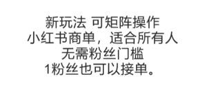 可矩阵操作，小红书商单新玩法，适合所有人，无需粉丝门槛，1粉丝也可以接单-第一资源网