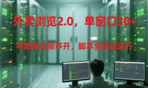 外卖浏览2.0，单窗口30+可矩阵无限多开，脚本全自动运行【揭秘】-第一资源网