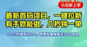 最新首码项目，一键拉新有手就能做，几秒钟一单，1个小时单号可60+，矩阵批量做每天5张【揭秘】-第一资源网