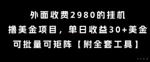 外面收费2980的挂G撸美金项目，单日收益30+美金，可批量可矩阵【揭秘】-第一资源网