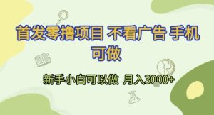 首发零撸项目 不看广告 手机可做 新手小白可以做  月入3k+【揭秘】-第一资源网