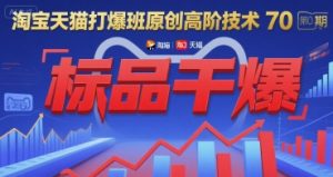 淘宝天猫打爆班原创高阶技术第70期:标品干爆-第一资源网