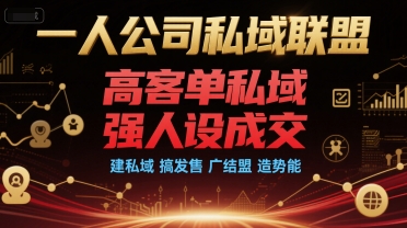一人公司私域联盟，高客单私域，强人设成交，建私域 搞发售 广结盟 造势能-第一资源网