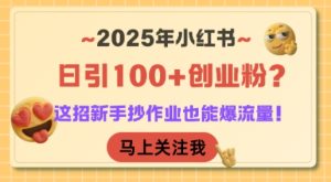 2025年小红书日引100+创业粉?这招新手抄作业也能爆流量!-第一资源网