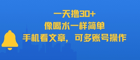 一天撸30+，像喝水一样简单，手机看文章，可多账号操作-第一资源网