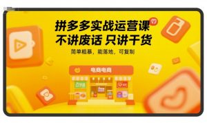 拼多多实战运营课,不讲废话只讲干货,简单粗暴,能落地,可复制-第一资源网