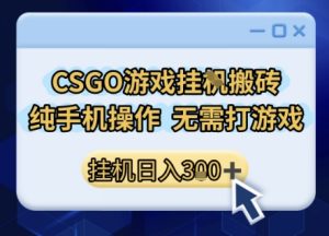 CSGO游戏挂G搬砖，小白纯手机即可操作，不用电脑打游戏，日入3张+，副业网创项目【揭秘】-第一资源网