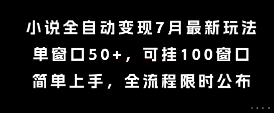 小说全自动变现7月玩法，单窗口50+，可挂100窗口，简单上手，全流程限时公布【揭秘】-第一资源网