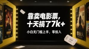靠卖电影票，十天搞了7k+，小白无门槛上手，零投入【揭秘】-第一资源网