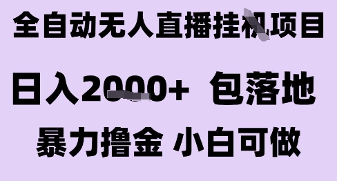 最新全自动抖音无人直播挂G项目，日入2k+ 包落地暴力撸金，小白可做【揭秘】-第一资源网